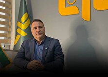 تمرکز بر کمیت از کیفیت خودروهای داخلی کاسته است + فیلم منبع سایت کارنا