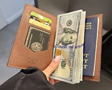 دلار مسافرتی پرواز کرد!