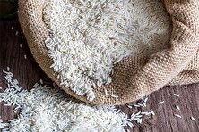 قیمت جدید انواع برنج ایرانی در بازار ۱۴۰۴/۰۹/۱۱