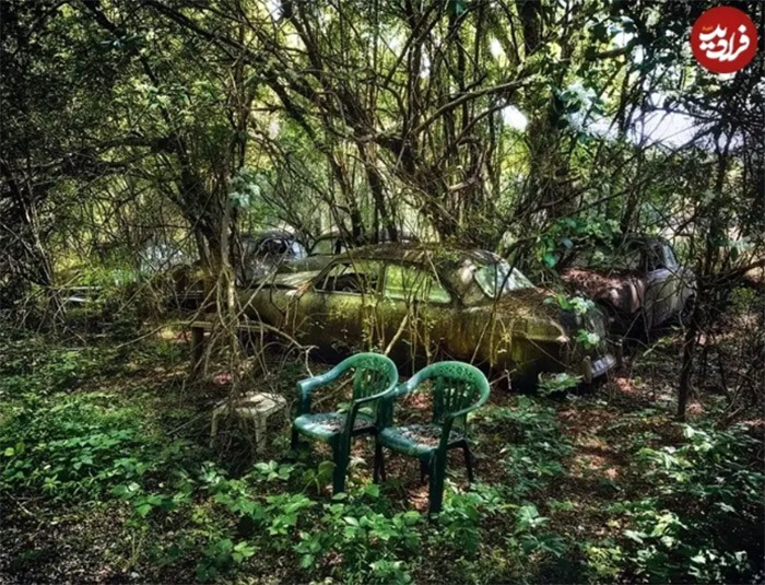 زیبایی وهمآلود خودروهایی که به تصرف طبیعت درآمدهاند زیبایی وهمآلود خودروهایی که به تصرف طبیعت درآمدهاند