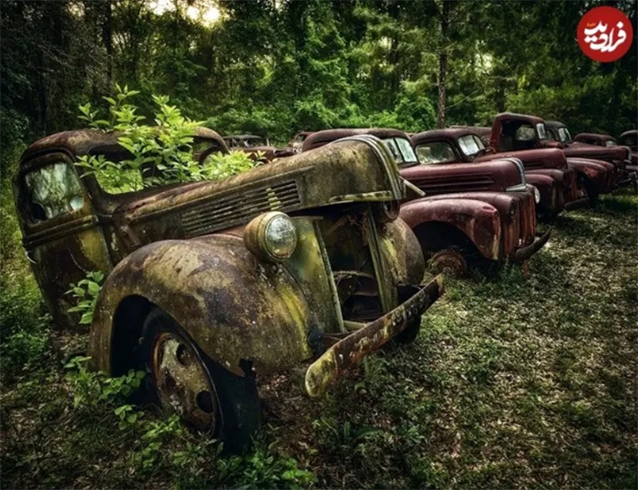 زیبایی وهمآلود خودروهایی که به تصرف طبیعت درآمدهاند زیبایی وهمآلود خودروهایی که به تصرف طبیعت درآمدهاند