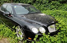 تصاویر جذاب خودرو‌های بلعیده شده توسط طبیعت!