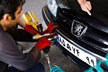 پلاک‌ فک شده چه مدت برای صاحب قبل قابل دسترسی است؟