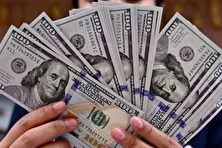 ۱۵ نفر ۶ میلیارد دلار را در کشور ناپدید کردند!