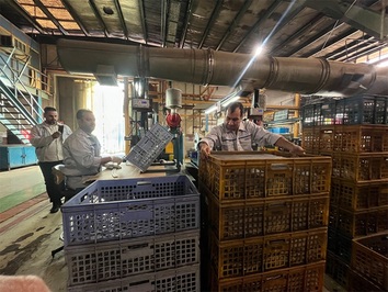 رادیاتورایران